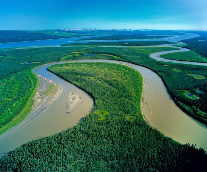 Amazon river...