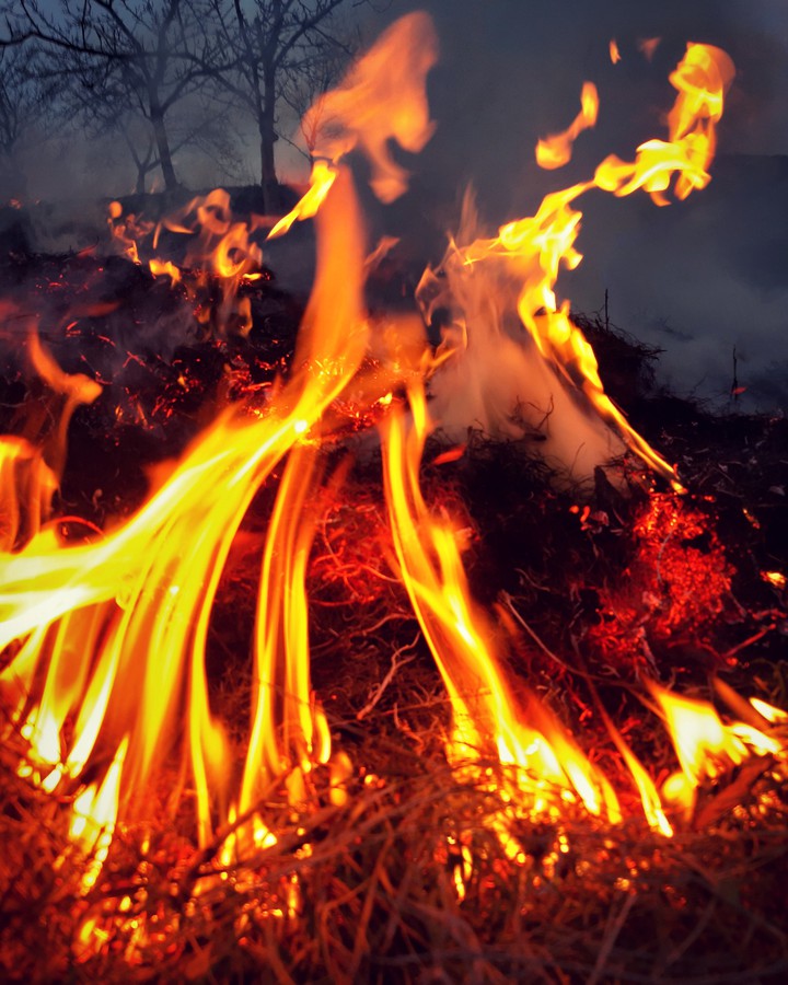 Fire