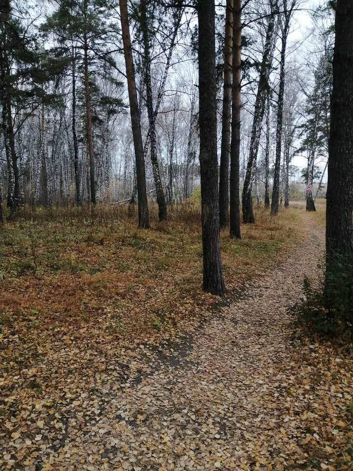 Осень.