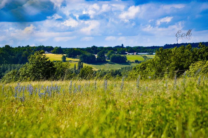 colline de Charente