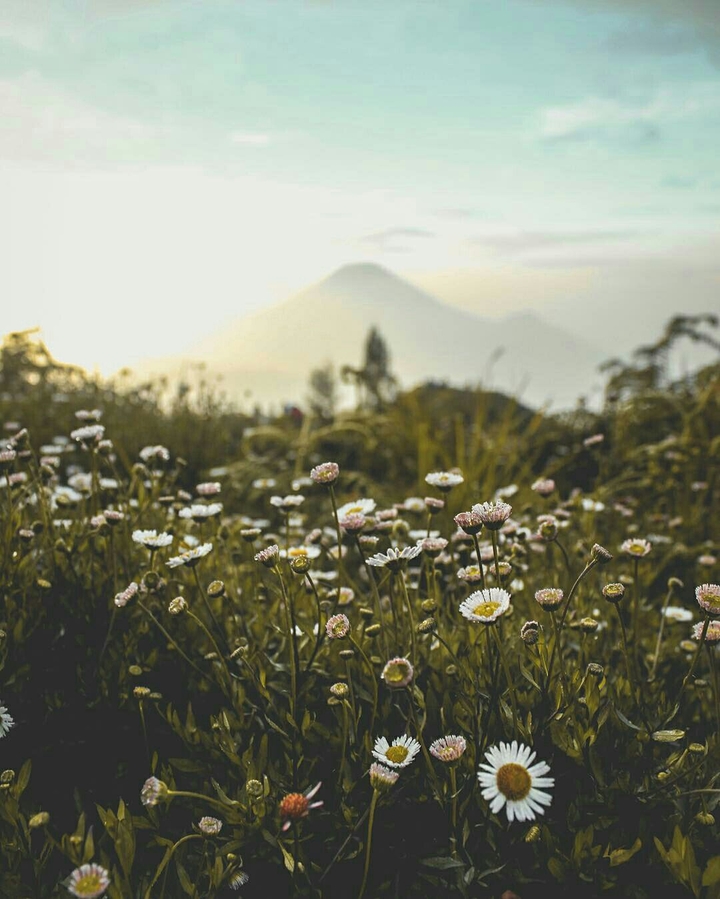 Prau Mountain - Dieng , Wonosobo - Indonesia