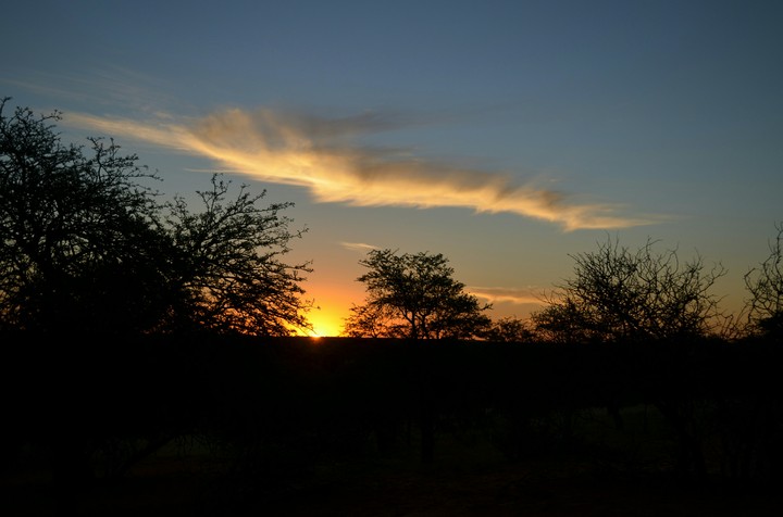 Kalahari piece