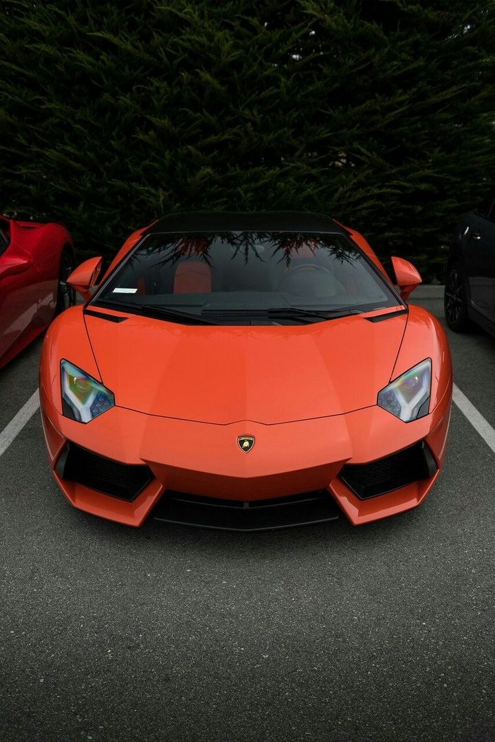 Lamborghini