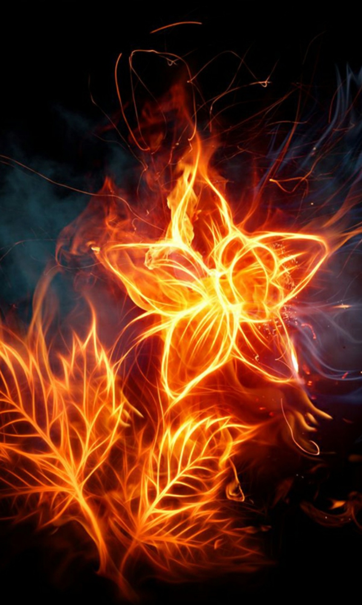 Цветы, flowers, fire, огонь