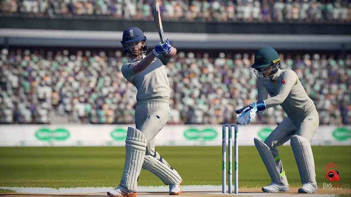 Cricket 19