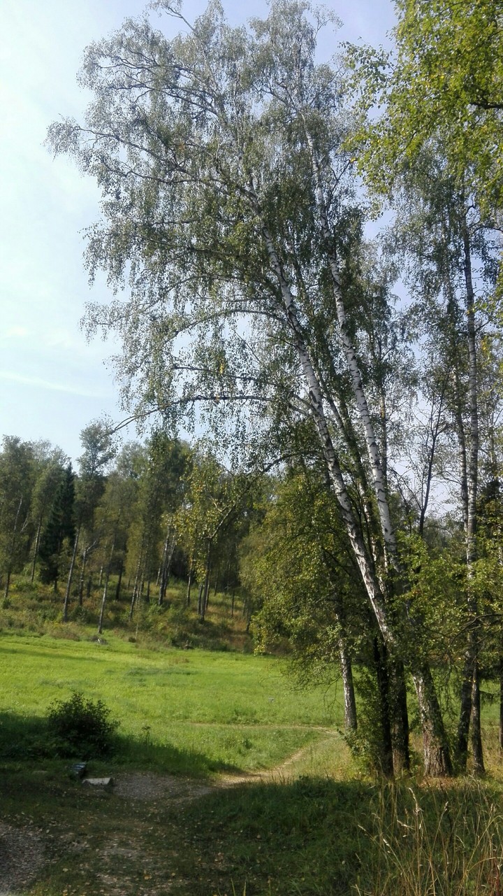 Ясная Поляна