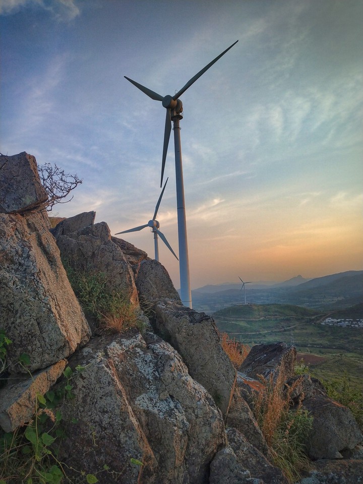 windmills