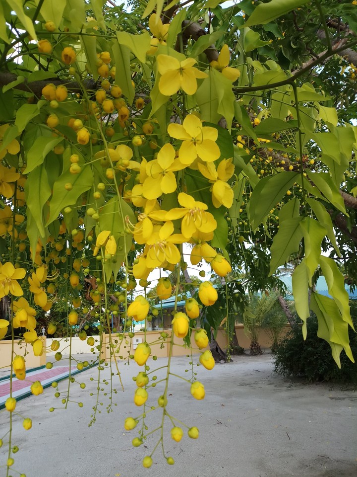 beautiful