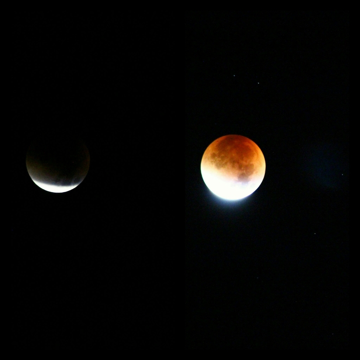 Eclissi di Luna