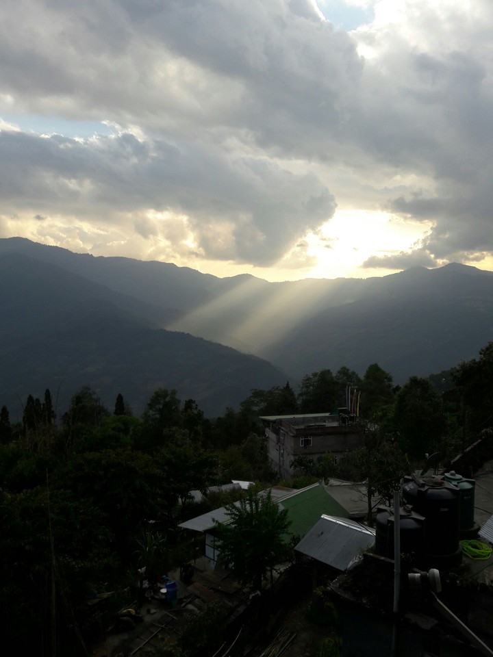 sunlight