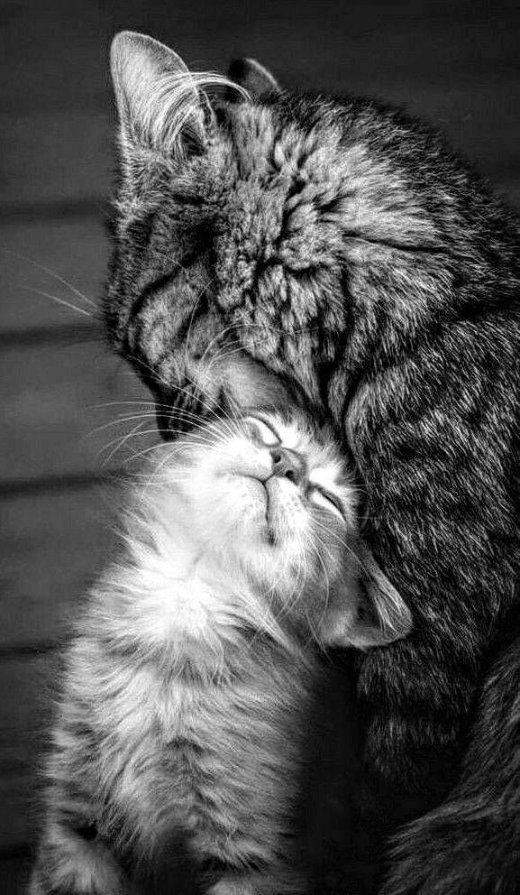 Amore....
