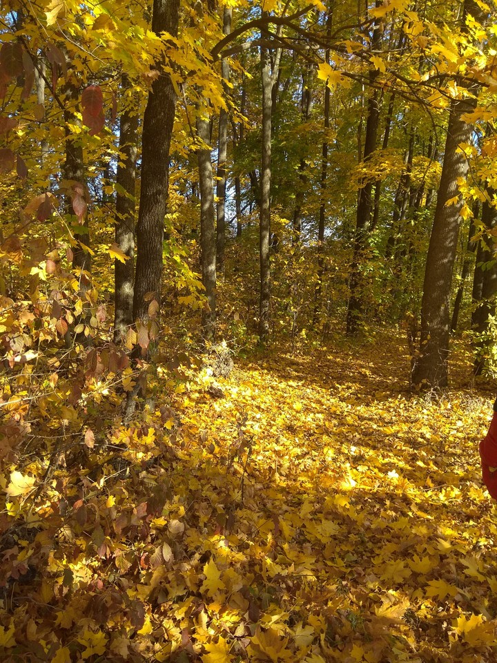 Autumn