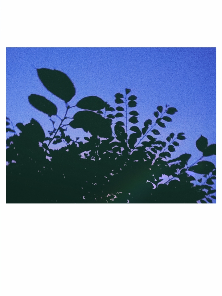 ㅏㅜ ㅣ
