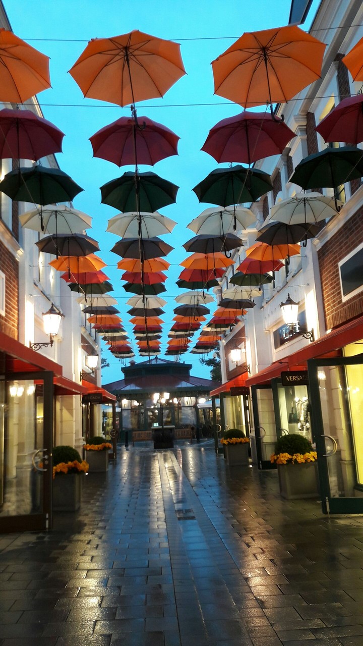umbrella