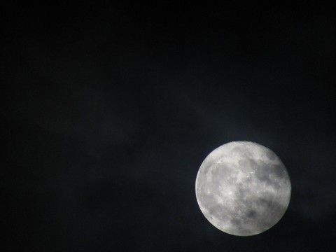 The moon 6/10/2017