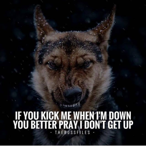 never underestimate