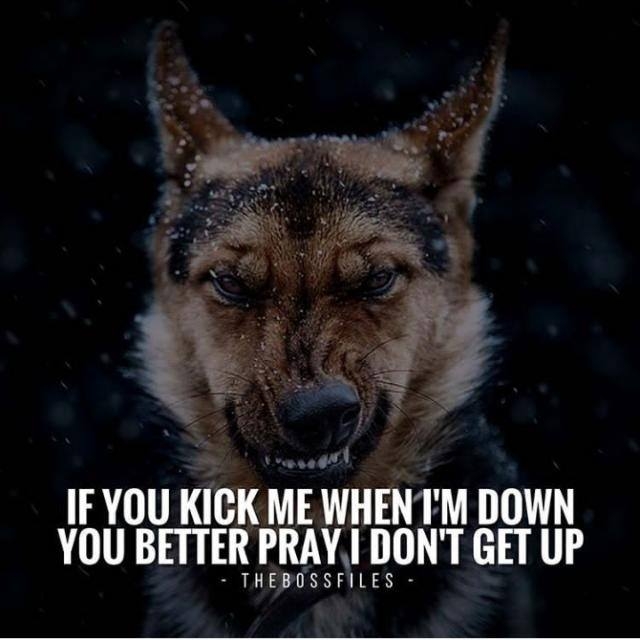 never underestimate