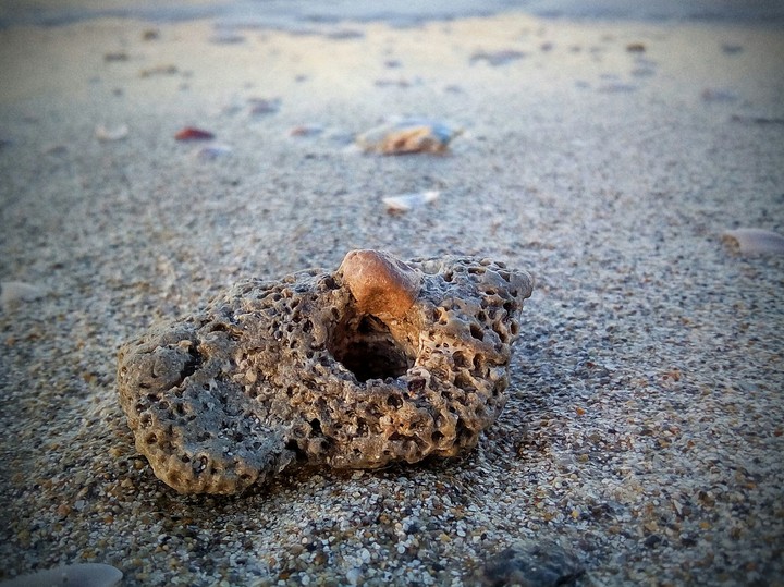 I found this in the beach