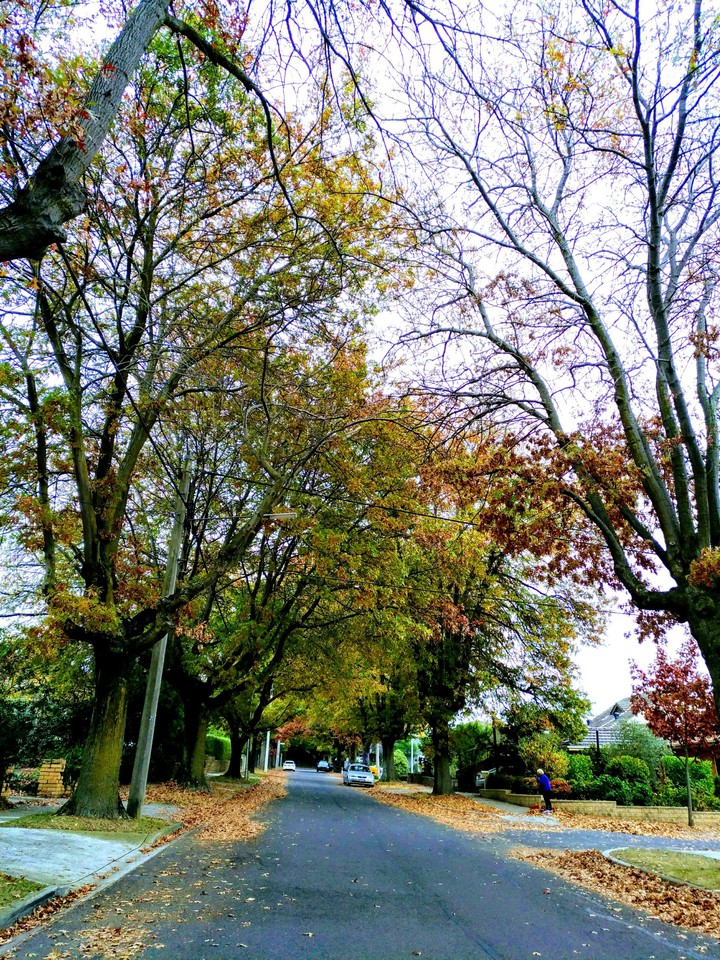 Autumn strets