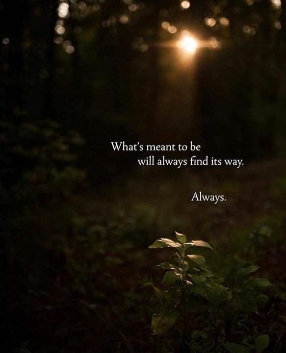 Quotes