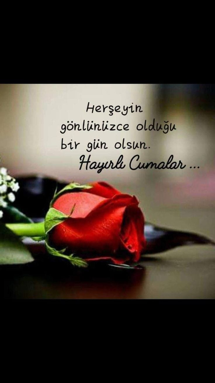 Amin