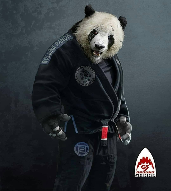 panda
