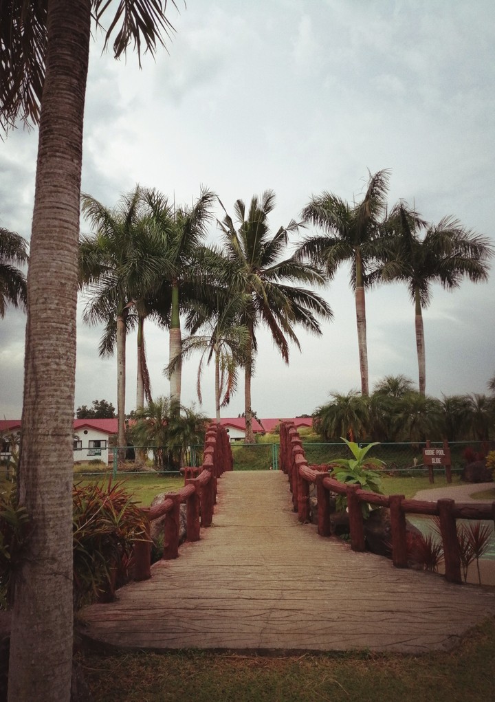 Bridge