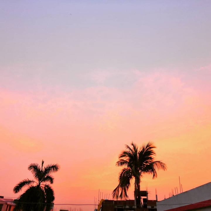 Evenings
