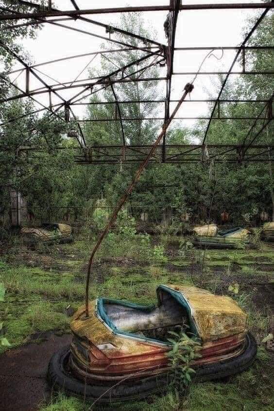 nature