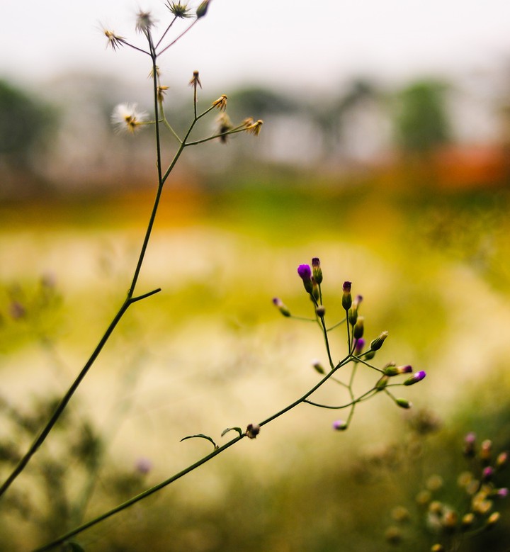 Beauty in simplicity..