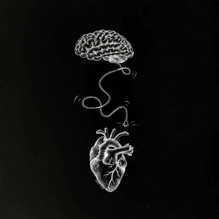 The mind is not connected with the heart in anything