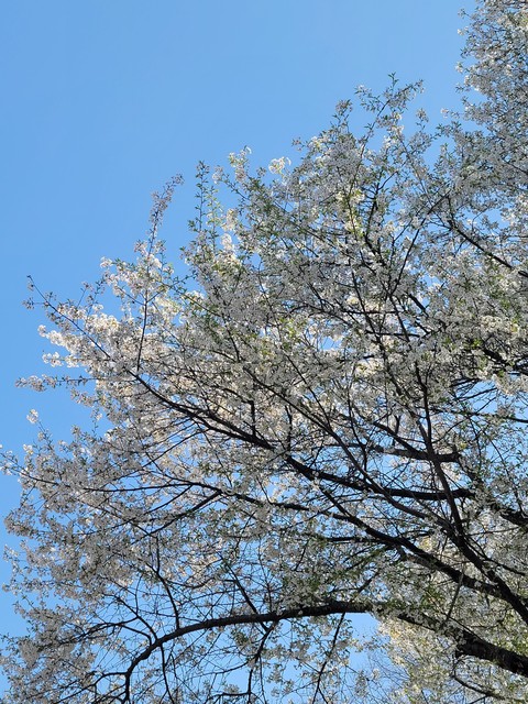 电蓝, sky壁纸