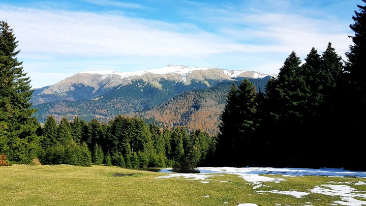 giresun yayla