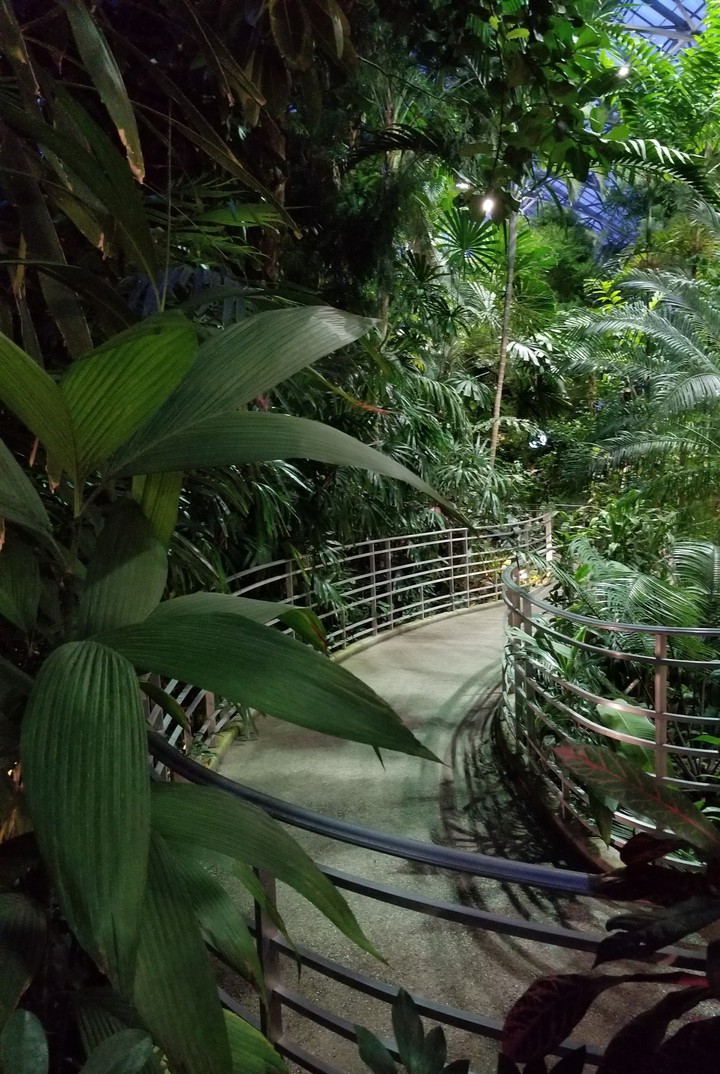 Tropical Trail