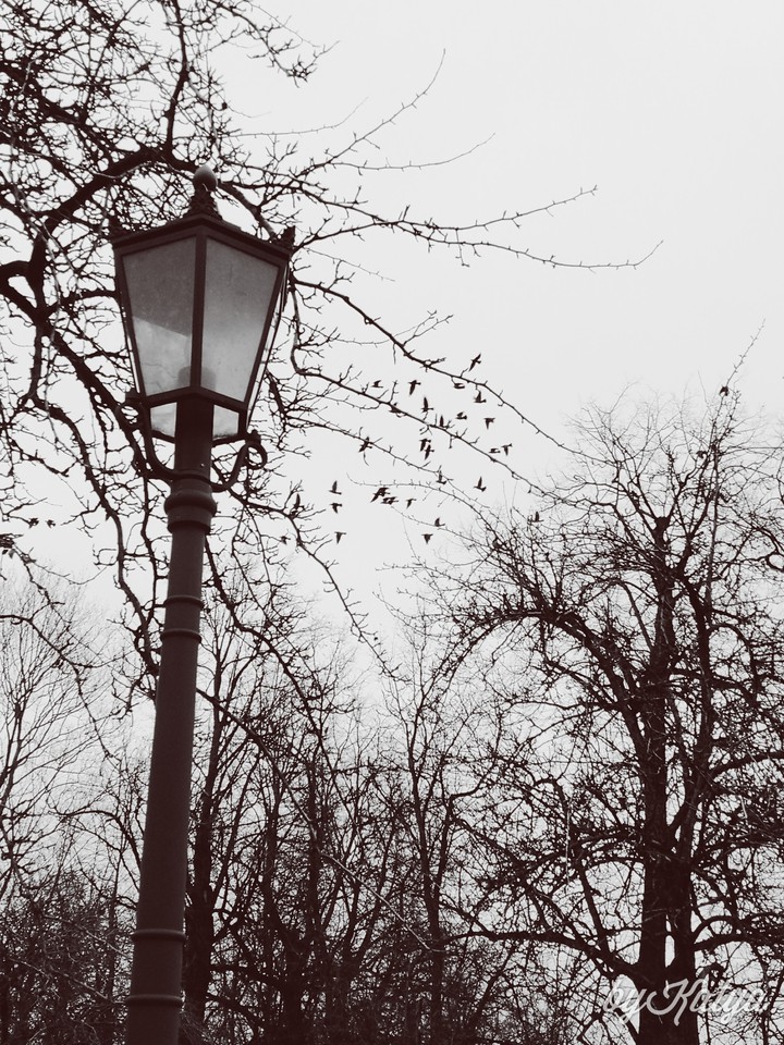 Street lamp