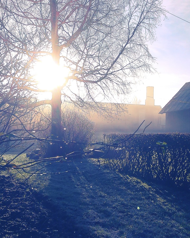 fog and rainy morning