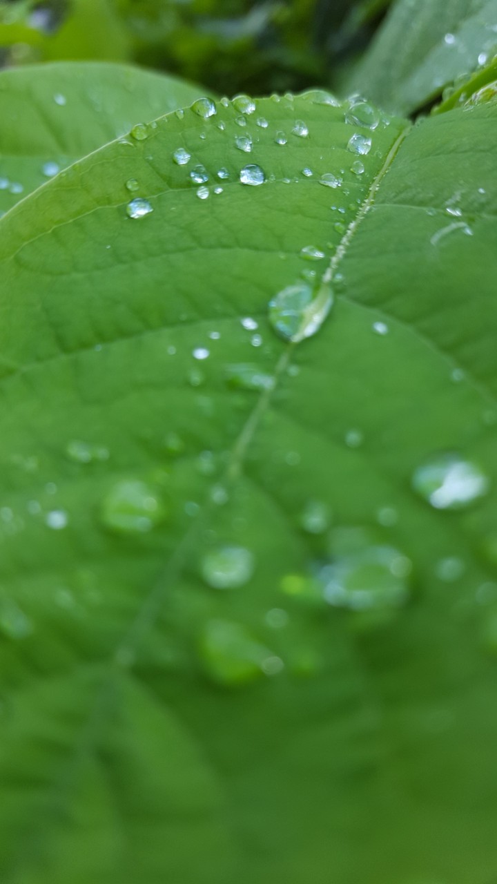 scatter