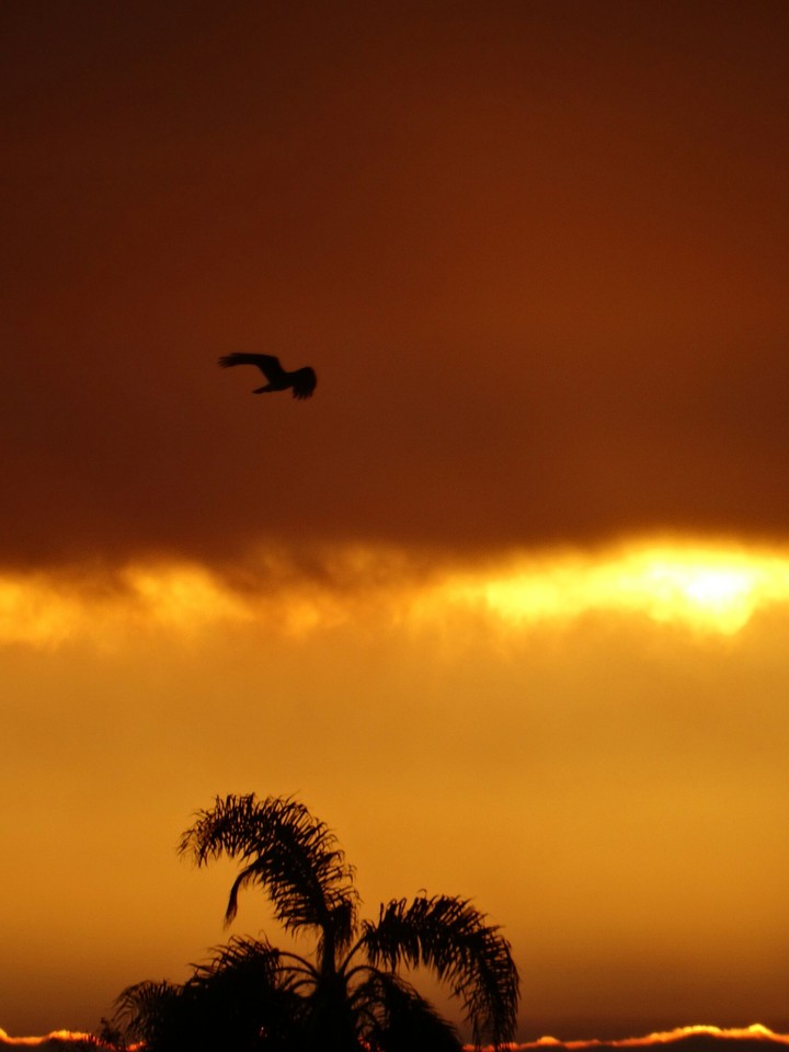 Atardecer Cebollati/Uruguay