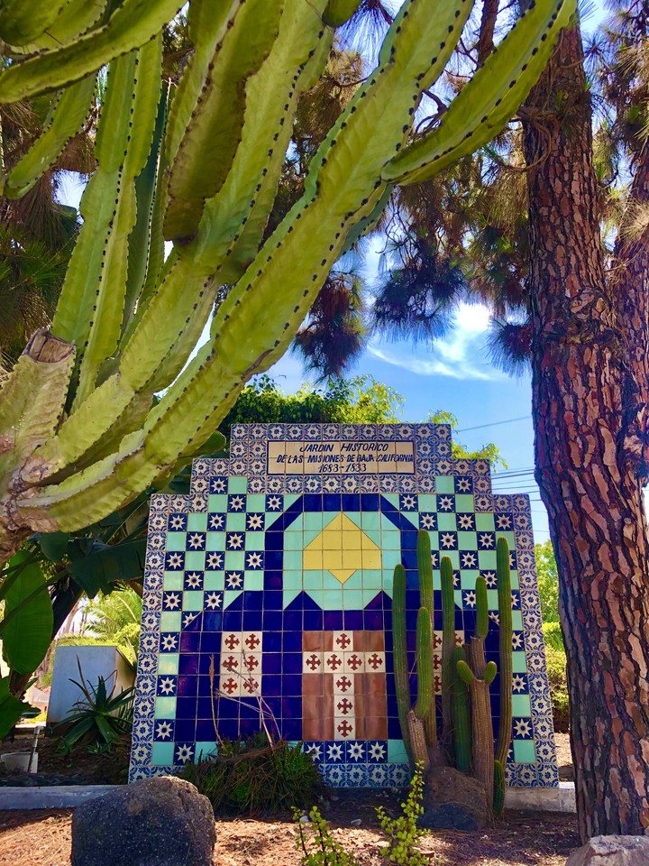 Naturaleza del Desierto