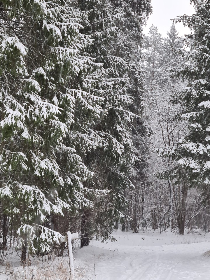 One winter day
