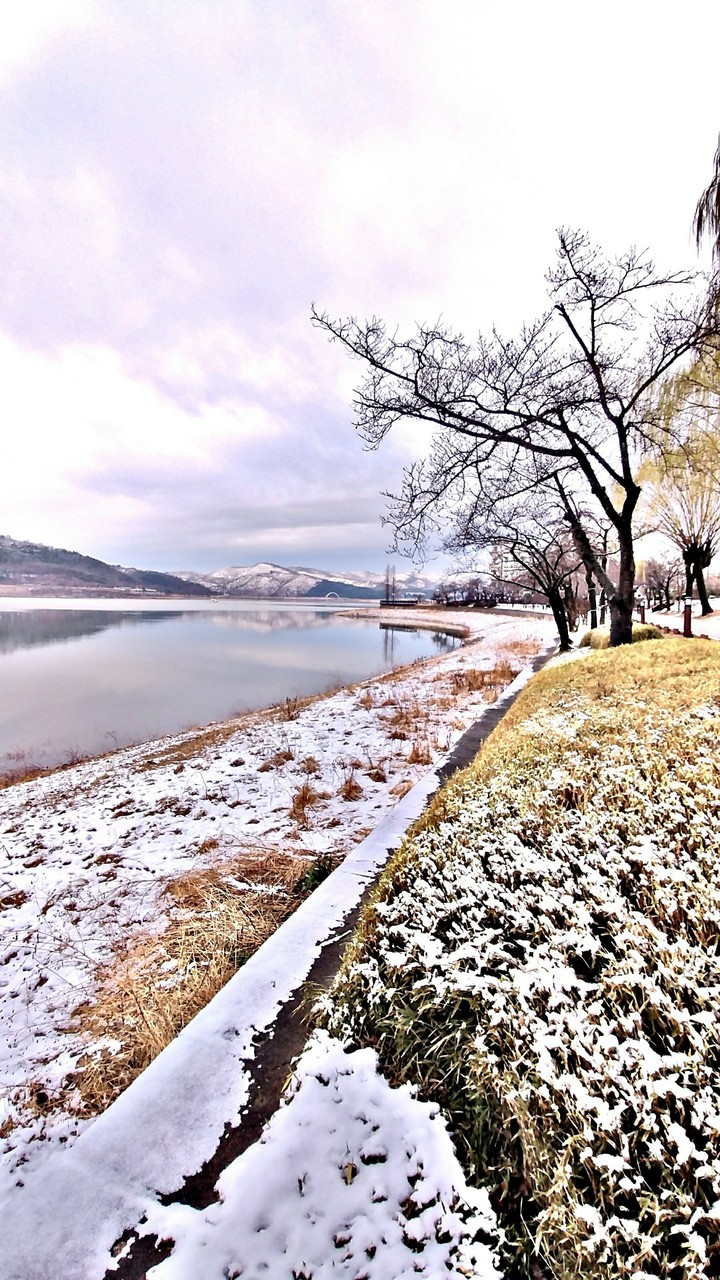 雪景