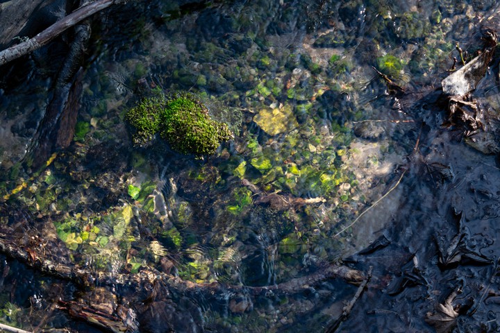 Spring creek