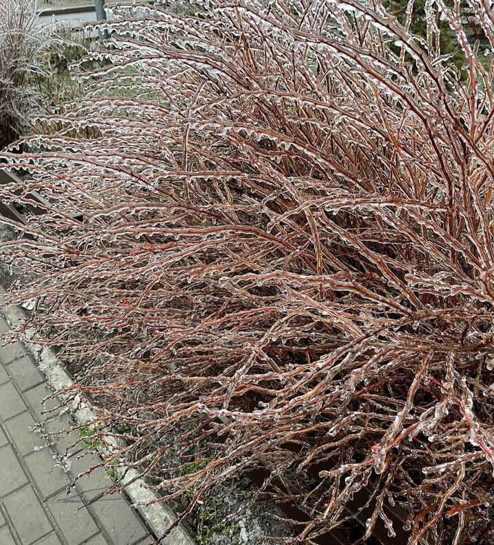 Ice