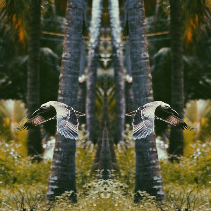 Split