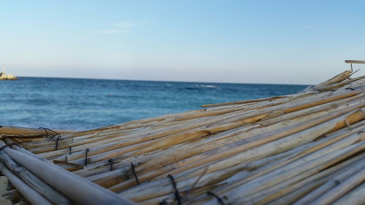 Sea