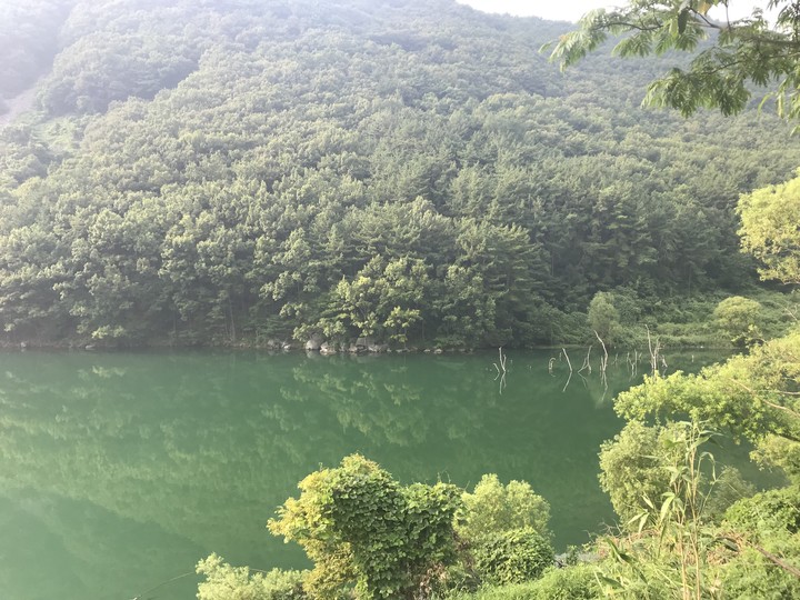 저수지