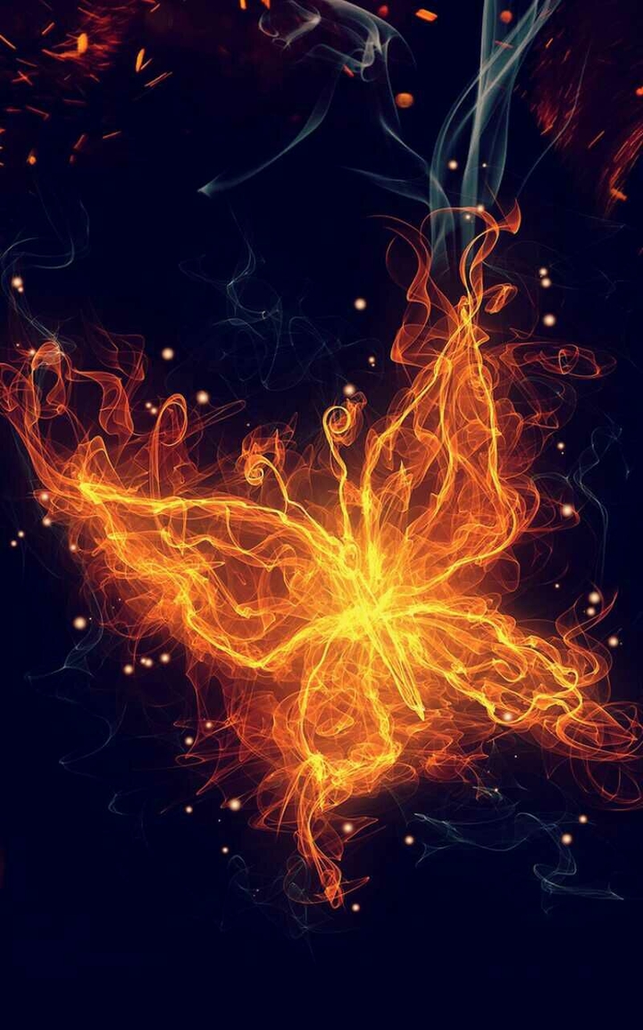 ♤♡♤