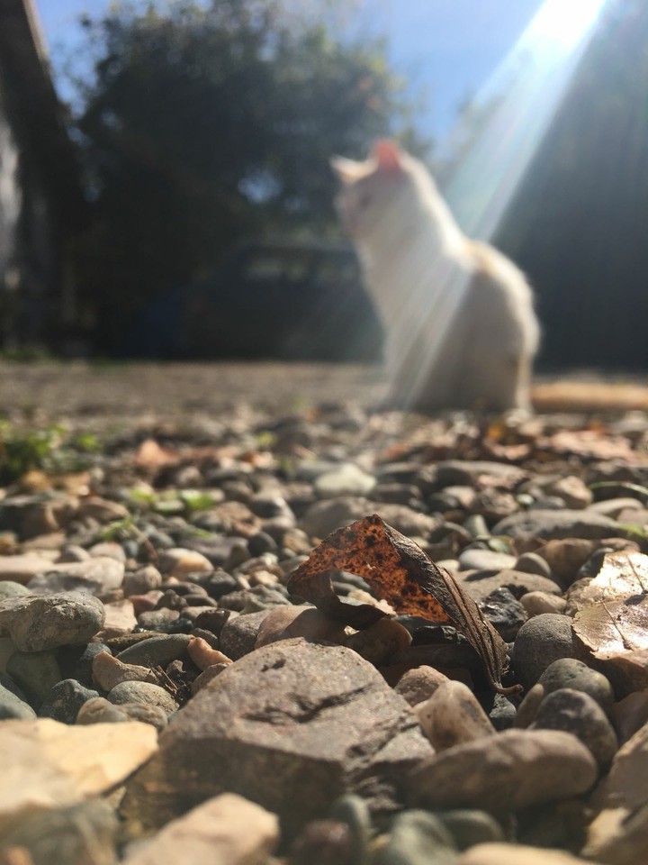 :)