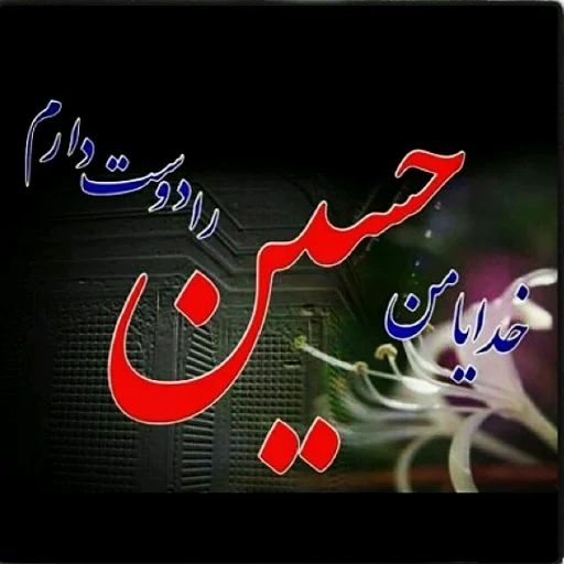 انا مجنون الحسين عليه السلام