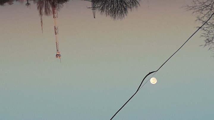 "moon●"